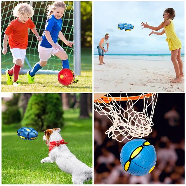 Brinquedo Voador para Cães com Função 2 em 1 em Rosa da categoria Brinquedo Voador para Cães com Função 2 em 1 na ShopBran
