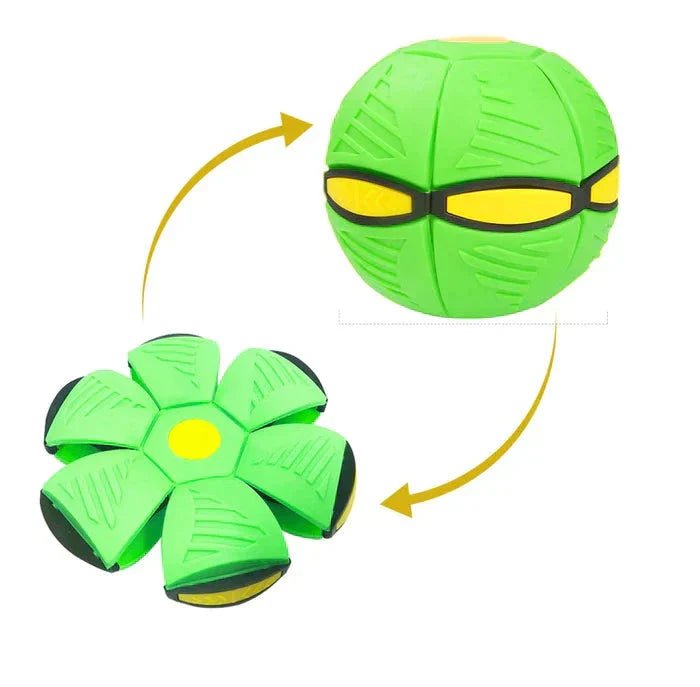 Brinquedo Voador para Cães com Função 2 em 1 em Verde da categoria Brinquedo Voador para Cães com Função 2 em 1 na ShopBran