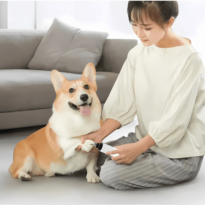 Lixador Pet Soft Claw® – Unhas com Acabamento Seguro em Casa em da categoria Lixador Pet P1 na ShopBran